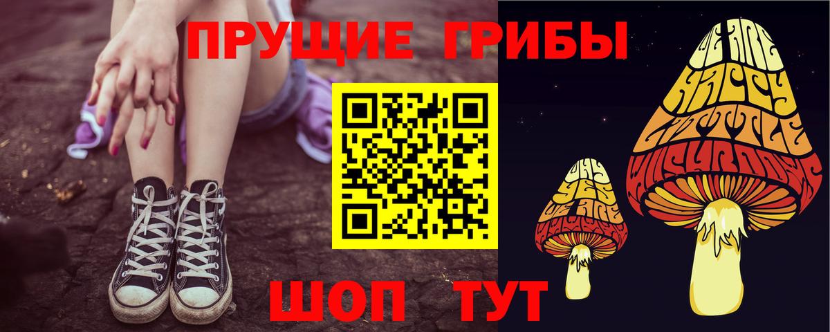Псилоцибиновые грибы Psilocybine cubensis  Вход с VPN  Красноярск 